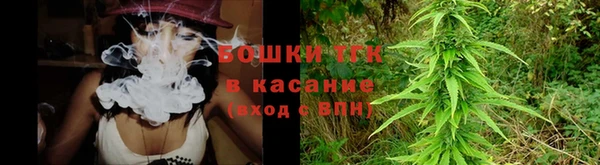 прущие грибы Аркадак