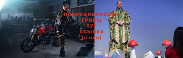 бутират Галич