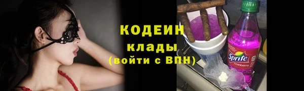 прущие грибы Аркадак