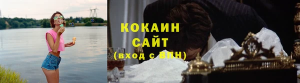 прущие грибы Аркадак