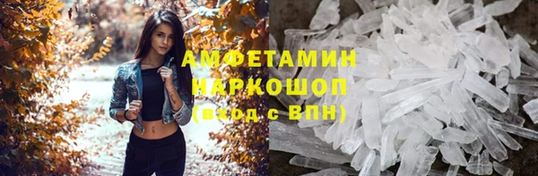 прущие грибы Аркадак