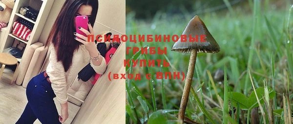 прущие грибы Аркадак