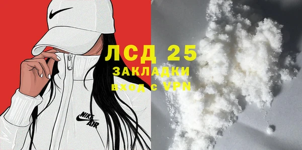 прущие грибы Аркадак