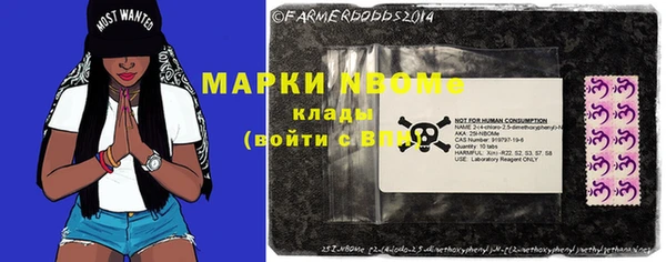 прущие грибы Аркадак