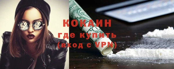 прущие грибы Аркадак