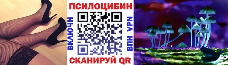 Псилоцибиновые грибы прущие грибы мега tor площадка состав как найти закладки Ишим