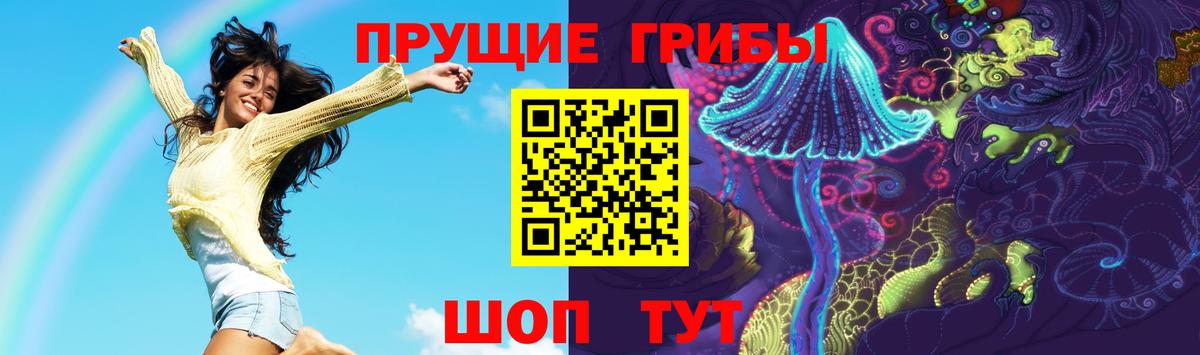 Псилоцибиновые грибы MAGIC MUSHROOMS  Вход с VPN  Ишим  Галлюциногенные грибы прущие грибы 